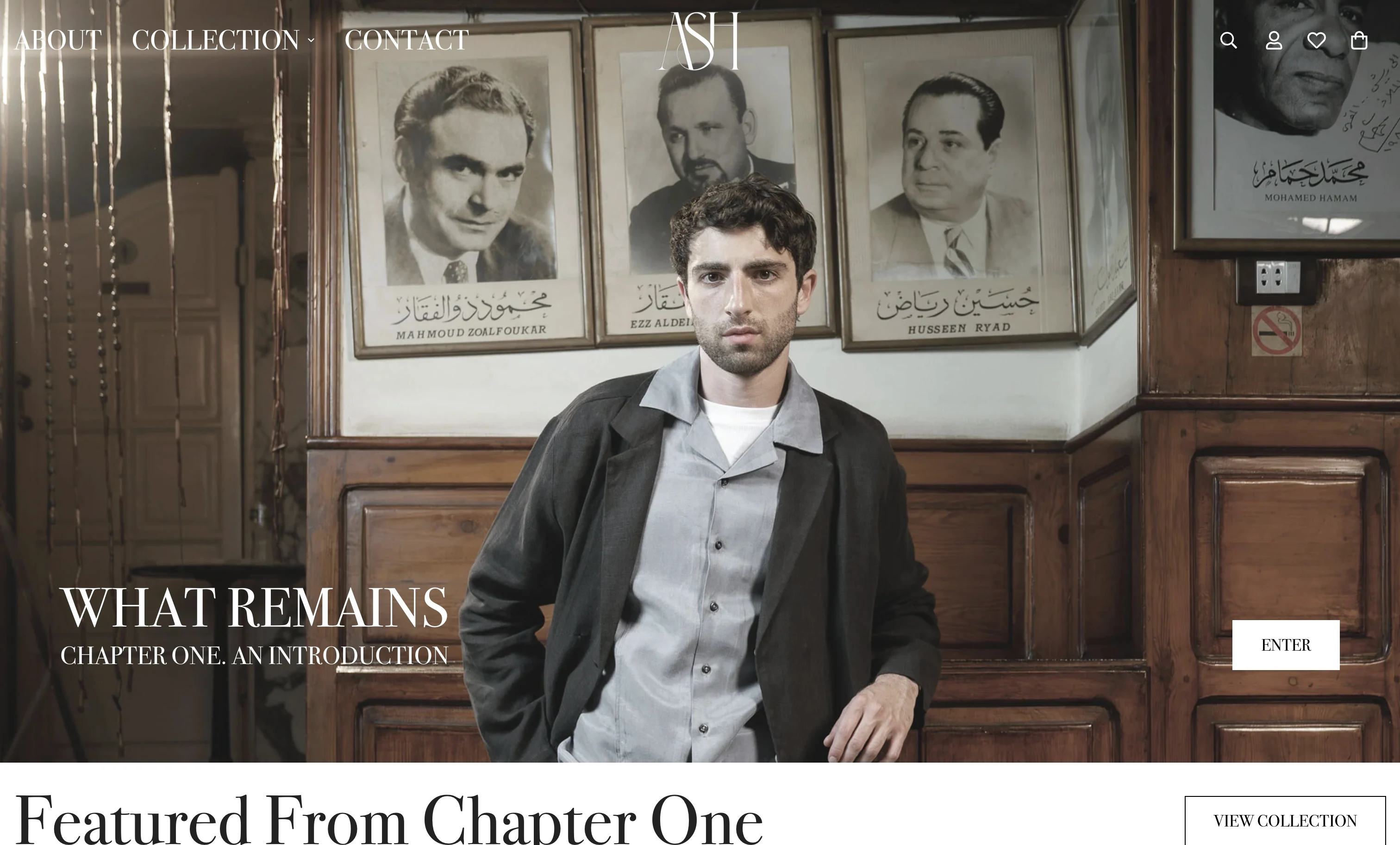ASH Chapter One storefront campaign featuring a model in a wood-paneled interior.